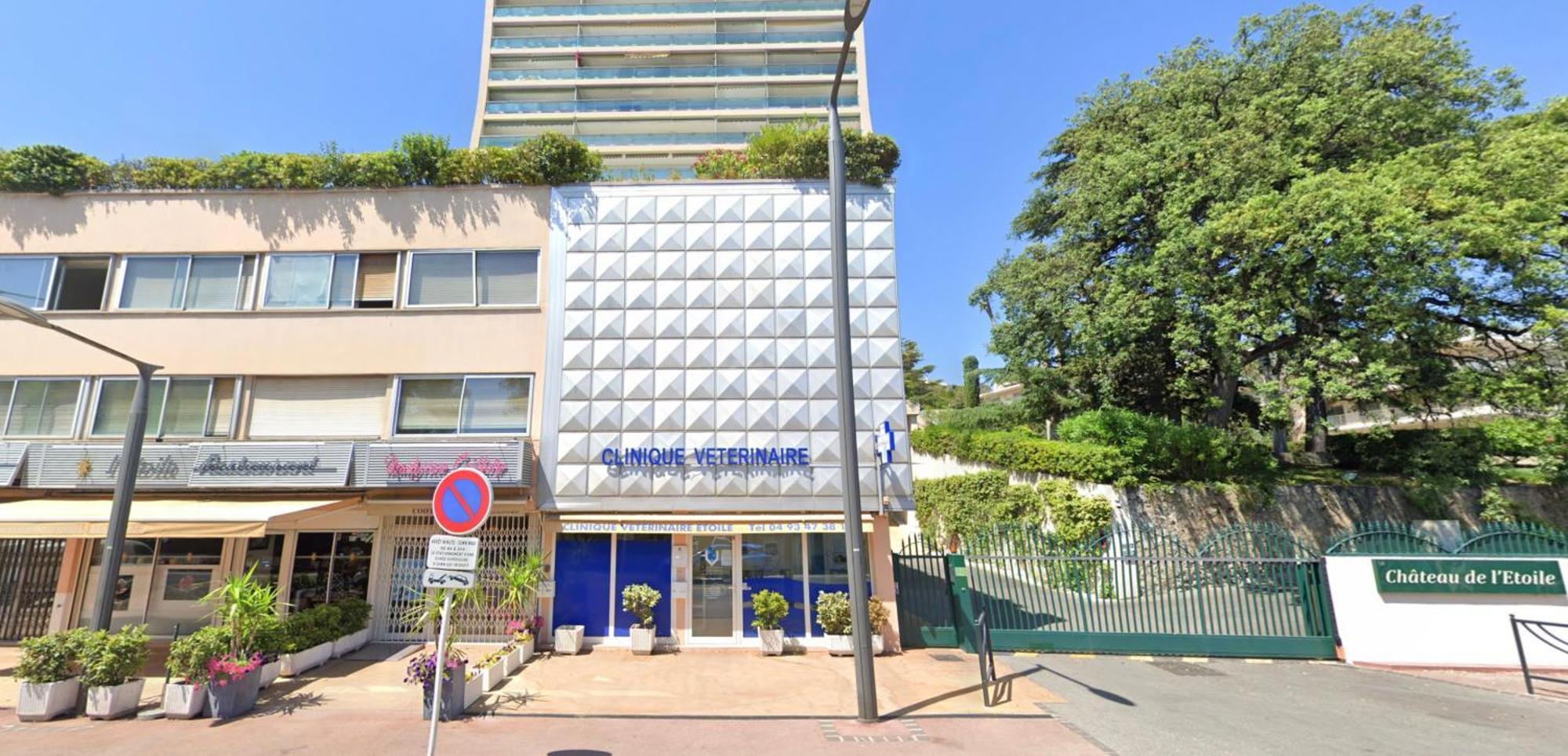Chateau Picaud By Scls Locations Cannes Eksteriør billede
